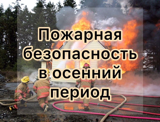 В связи с завершением 20.10.2024г особого противопожарного режима на территории Ростовской области, напоминаем, что сжигание сухой растительности и порубочных остатков разрешено на территории индивидуальных земельных участках с учетом следующих требований: 