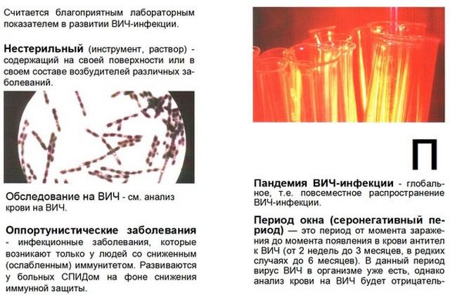 foto 2023 09 20 11 27 001