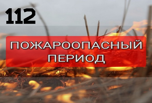 Постановлением Правительства Ростовской области (от 25.03.2024 № 172) на территории Донского региона со 2 апреля установлен пожароопасный период