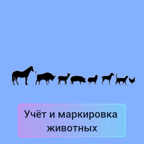 Ветеринарная служба разъясняет о необходимости маркирования и учета животных, содержащихся в ЛПХ