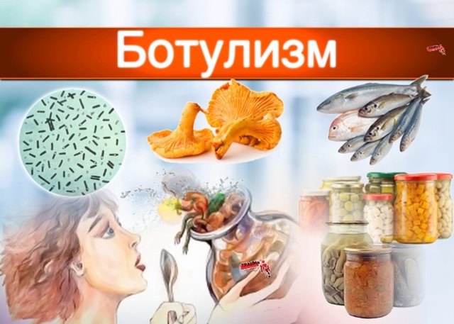 foto 2025 05 13 09 51
