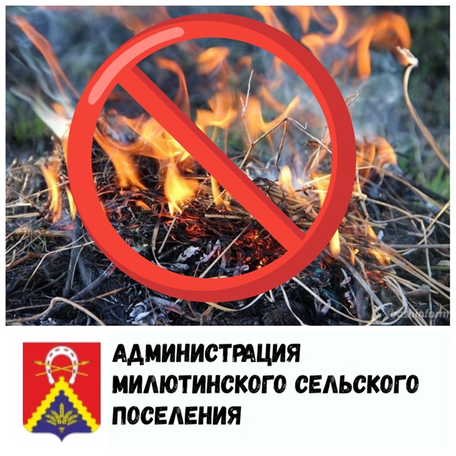 Оранжевый уровень пожароопасности ввели в Ростовской области