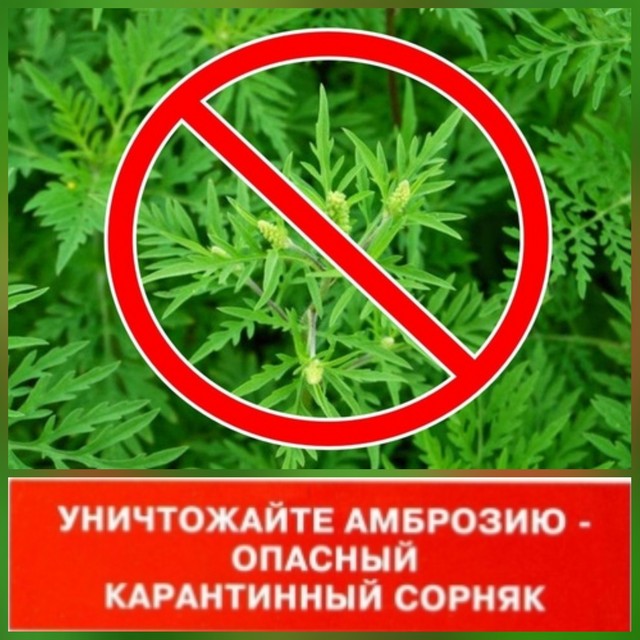foto 2025 06 27 11 20 001